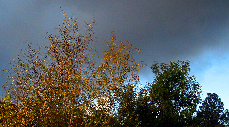 Saturday October 21st (2006) wind and rain align=