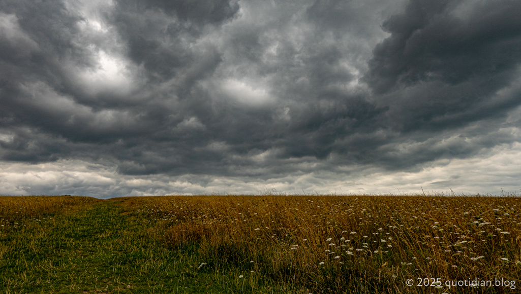 Saturday August 2nd (2025) looks like rain… didn't align=