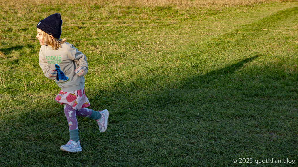 Sunday December 28th (2025) being chased align=