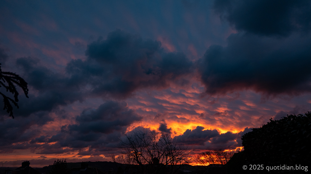 Friday November 21st (2025) making the tea align=