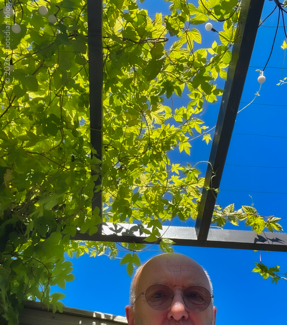 Wednesday July 1st 2026&nbsp;golden hops