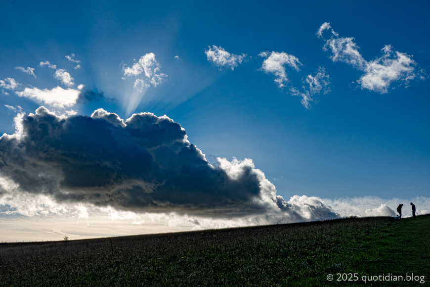 Sunday November 2nd (2025) late afternoon