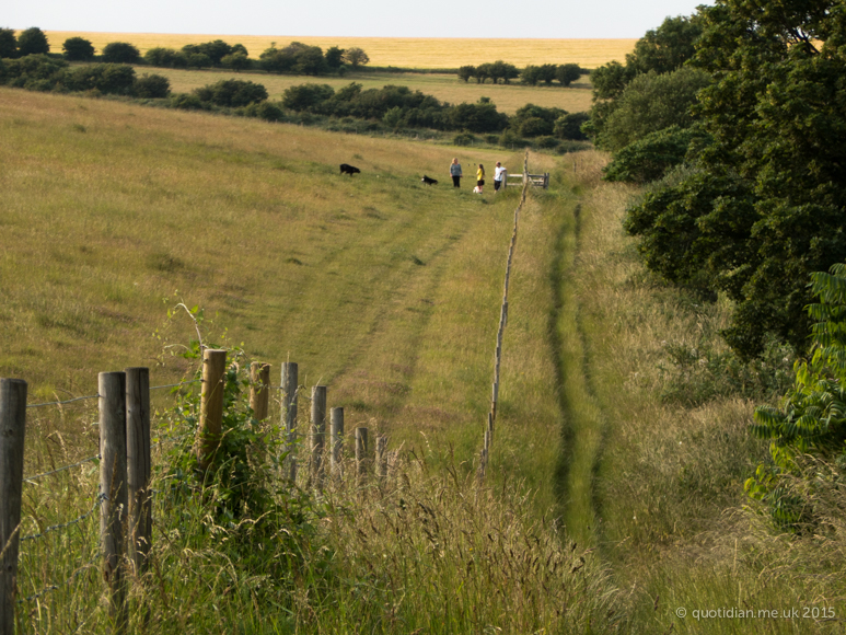 Saturday July 4th (2015) walking home via the downs align=