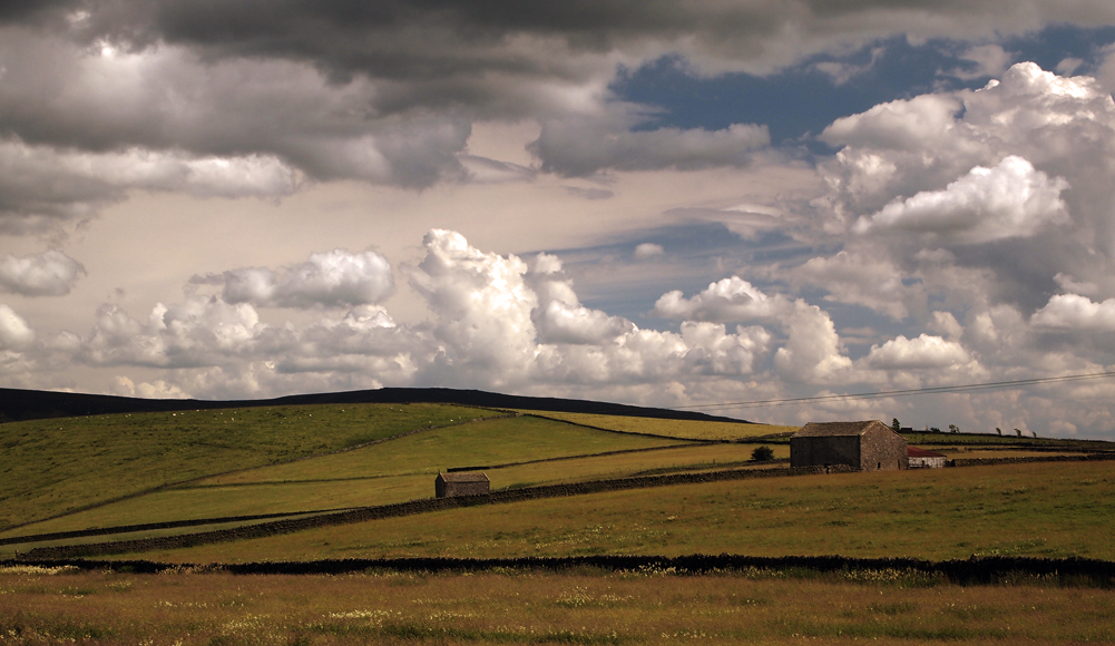 Thursday July 24th (2014) greenhow hill align=