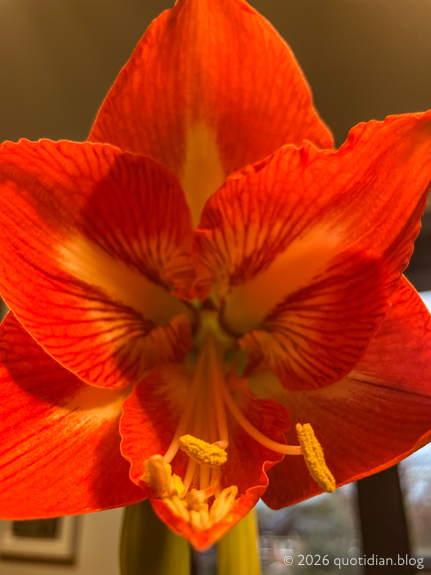 Thursday February 12th (2026) channelling georgia align=