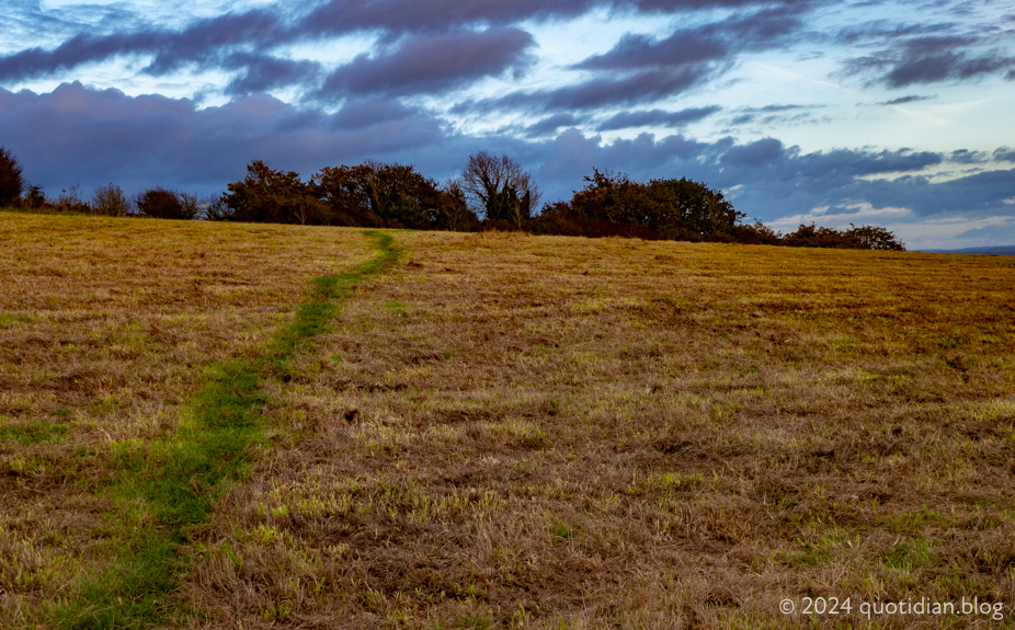 Saturday November 16th (2024) a greener path