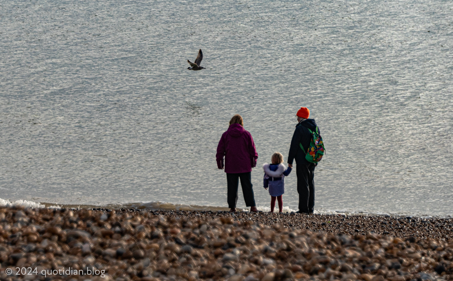 Friday December 13th (2024) seashore family