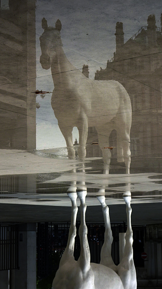 Tuesday July 23rd (2013) wallinger's white horse align=