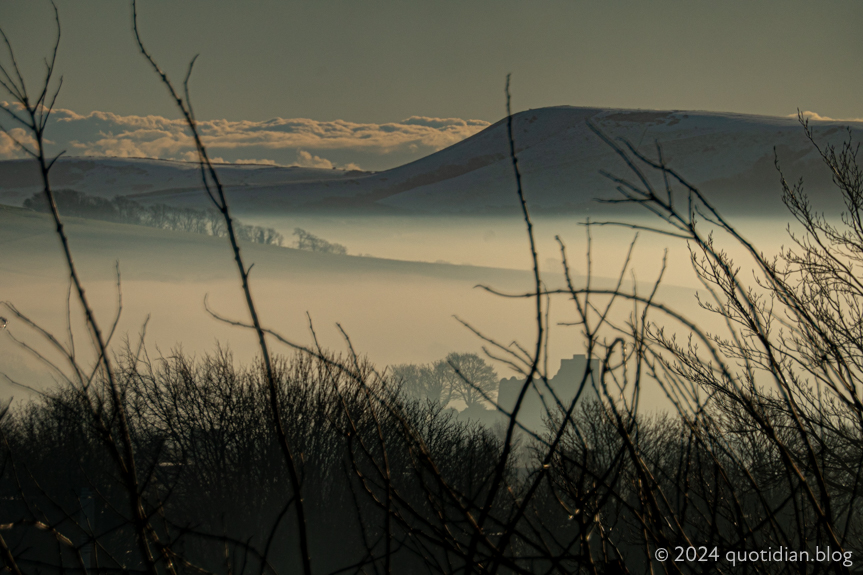 Saturday January 11th (2025) depths of field