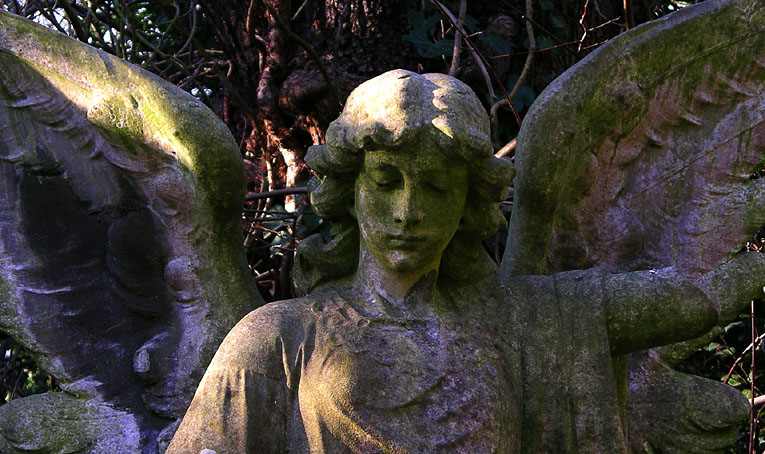 Sunday January 29th (2006) nunhead cemetery align=