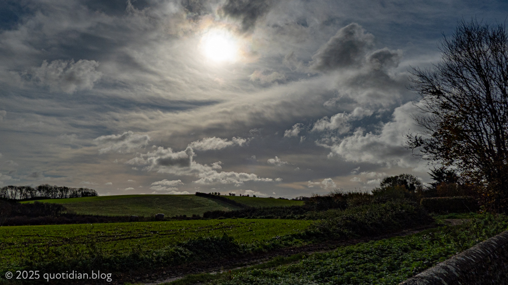 Monday November 10th (2025) fieldscape