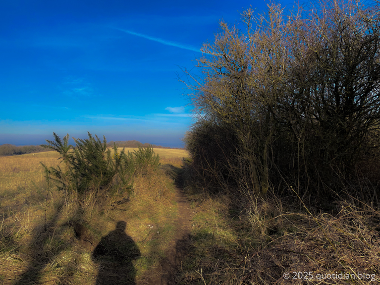 Wednesday March 5th (2025) man on path