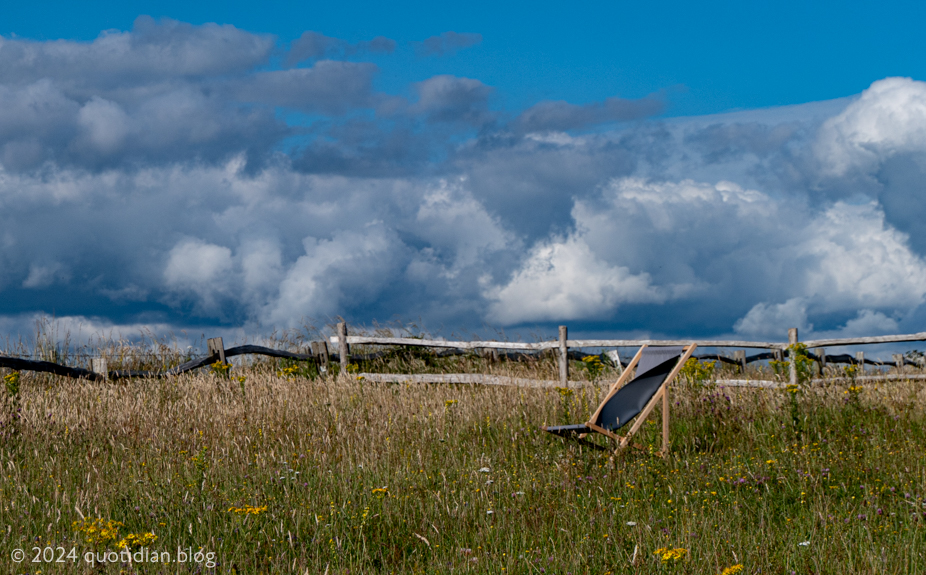 Saturday July 20th (2024) blowing in the wind align=