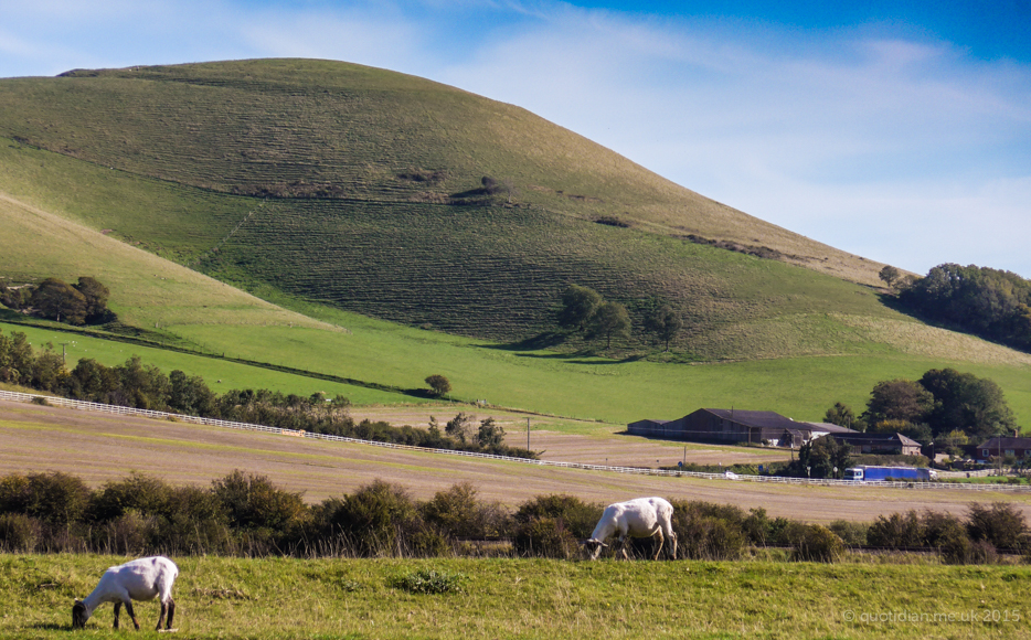 Thursday October 8th (2015) mount caburn and sheep align=