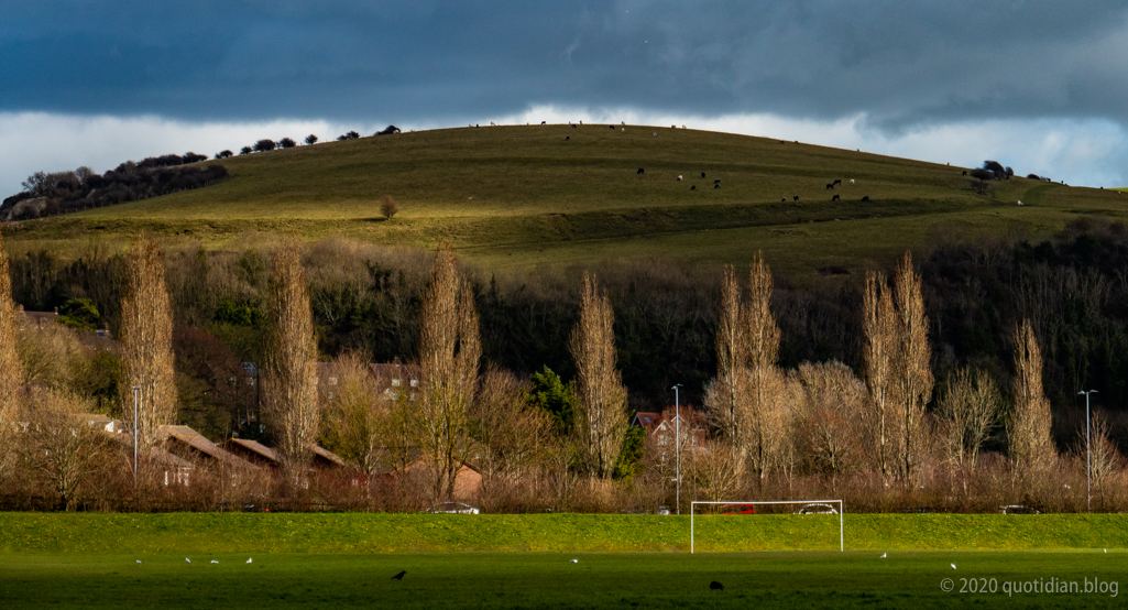 Tuesday March 3rd (2020) goalpost, trees, hill align=