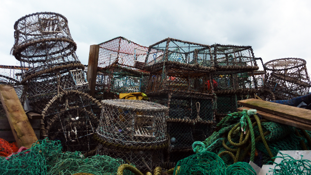 Tuesday November 18th (2014) a load of nets and that align=