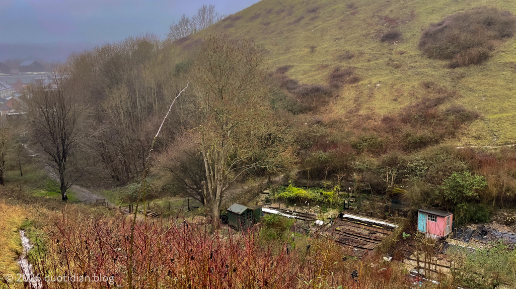 Saturday February 7th 2026&nbsp;the pink shed