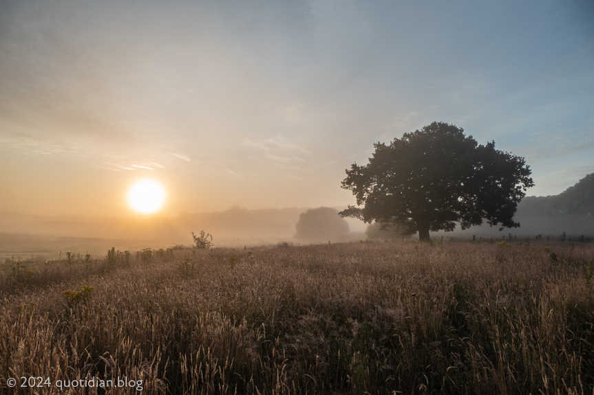 Monday July 15th (2024) dawn over the field align=