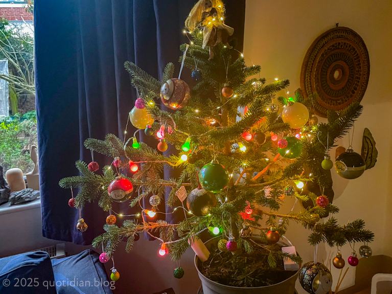 Thursday December 11th (2025) a modest tree align=