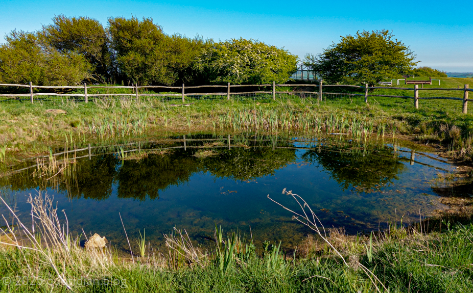 Monday April 28th (2025) clear water align=