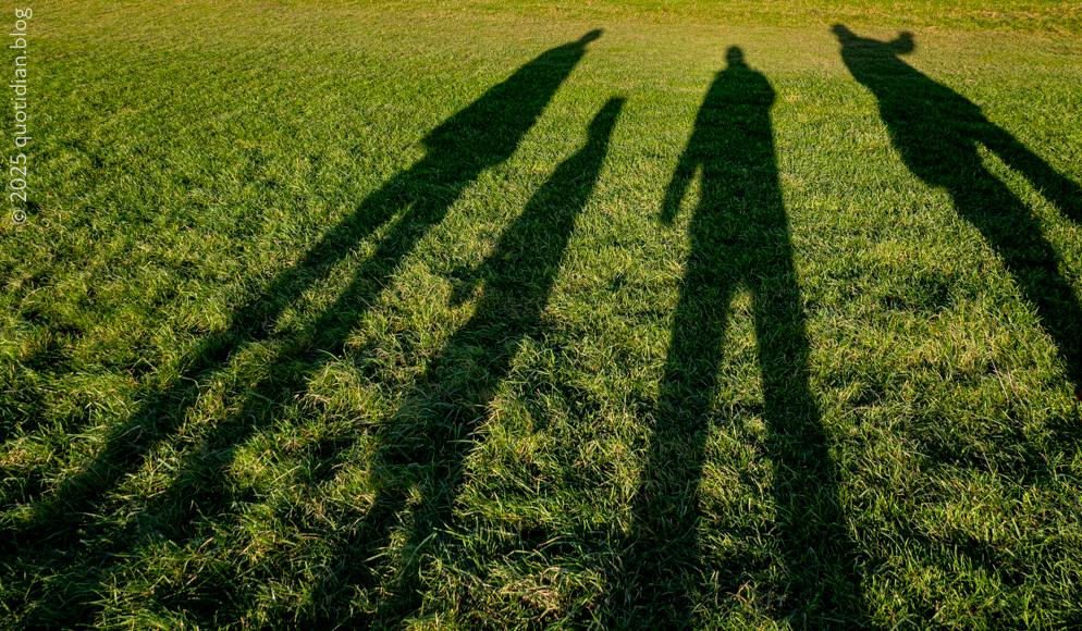 Friday December 26th (2025) shadow play align=