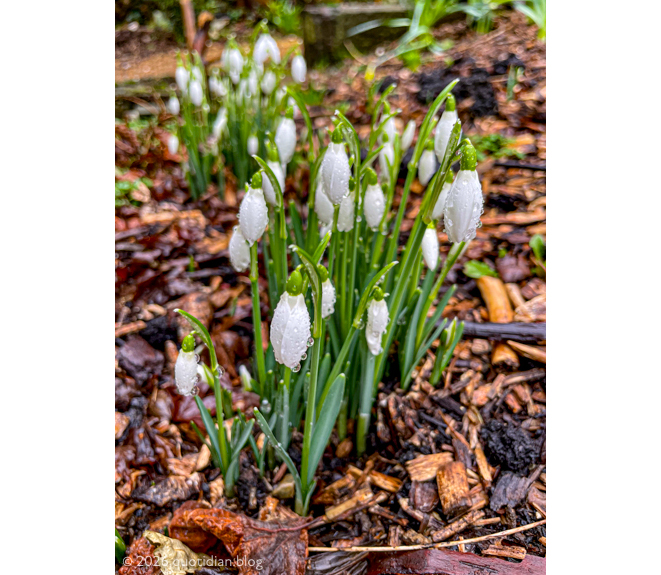 Tuesday January 27th 2026&nbsp;a pause in the rain
