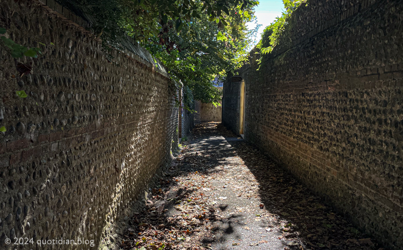 Friday September 13th (2024) a crisp morning walk align=