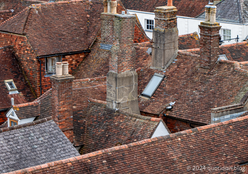 Wednesday August 14th (2024) roofage