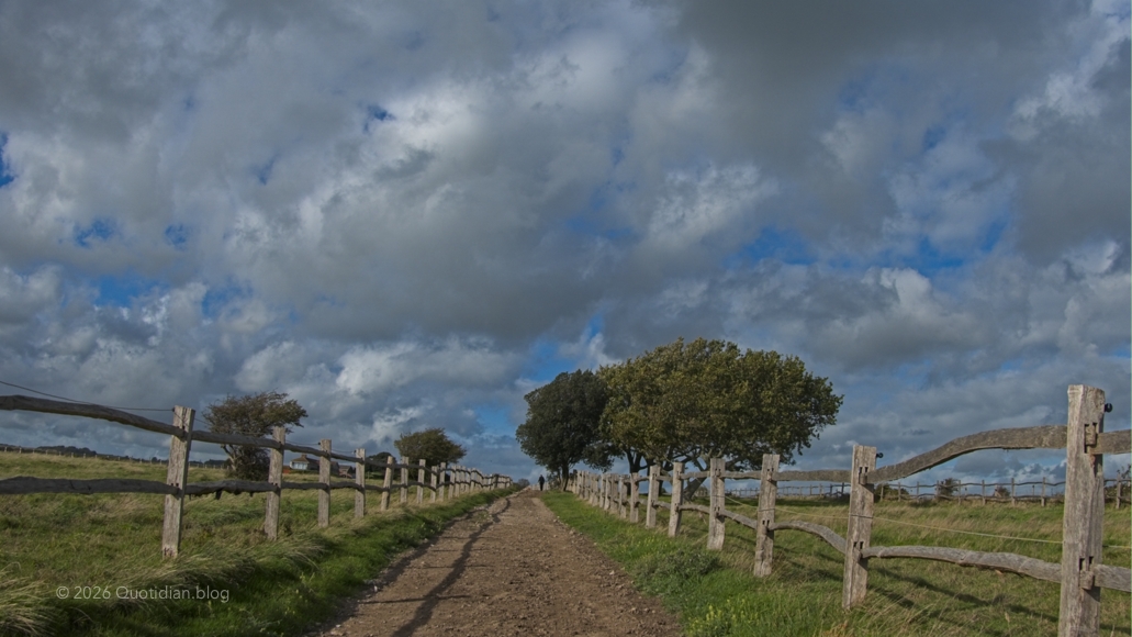 Wednesday October 14th (2026) racecourse walk align=