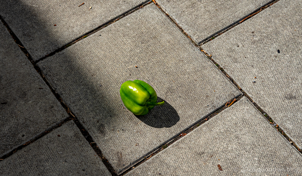 Saturday September 19th (2026) green pepper