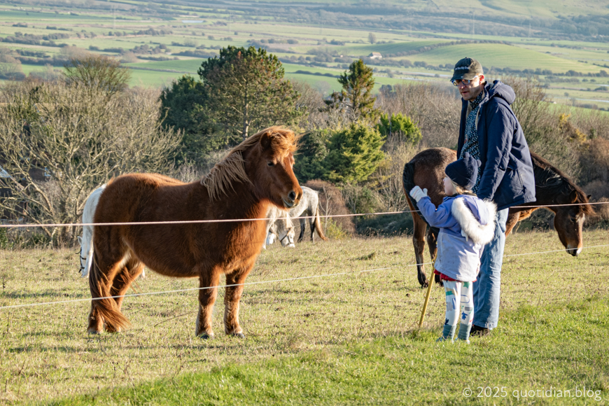 Thursday December 25th (2025) pony dialogue align=