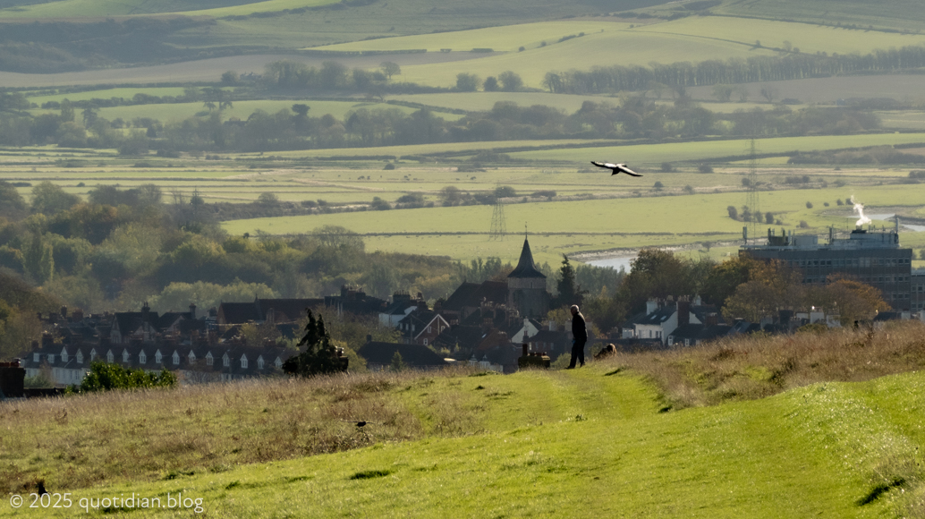 Monday October 27th (2025) man dog crow crow shadow align=