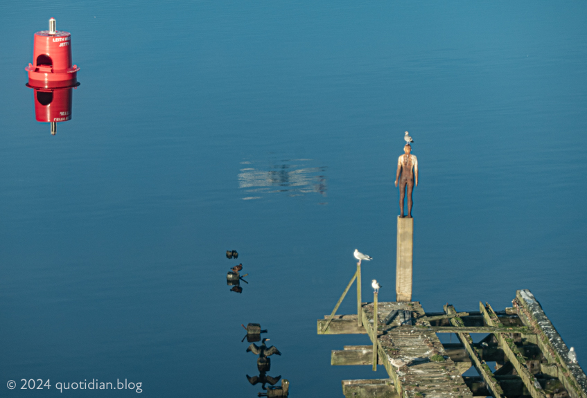 Monday December 9th (2024) cormorant gulls aeroplane gormley align=