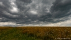 looks like rain… didn