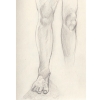 knees