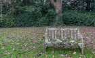 camouflage bench