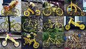 Thu 3rd<br/>yellow bikes of yorkshire