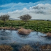 Sun 17th<br/>dew pond: new painting