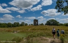 rewilded parkland