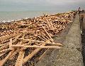 Tue 29th<br/>washed up timber