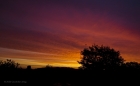 post storm dawn