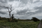 overcast