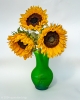 helianthus