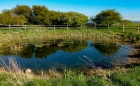 clear water