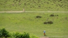 two people two deer