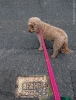 walkin
