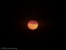 Wed 11th<br/>pink moon