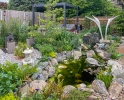 Mon 19th<br/>the sound of running water